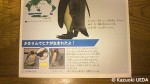 葛西臨海水族園『かさりん通信』