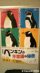 ペンギン会議全国大会・ポスター発表