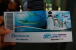 マニラ水族館のペンギン展示