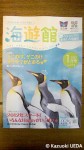海遊館とベイエリアのおもしろ情報誌(2012年１月号VOL.214)