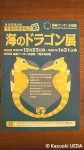 長崎ペンギン水族館の企画展「海のドラゴン展」