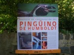 メトロポリタン動物園の新しいペンギン解説板とペンギン看板