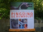 メトロポリタン動物園の新しいペンギン解説板とペンギン看板