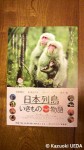 日本列島・いきものたちの物語