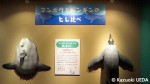 「バイオロギング展」の様子