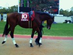 京都競馬場・マゼラン号