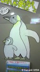 泉大津駅の改札で見かけた働くペンギン