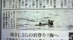 葛西臨海水族園から脱出したフンボルトペンギン