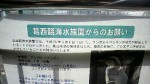 「迷い出たペンギン」に関する情報提供のお願い