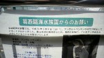 「迷い出たペンギン」に関する情報提供のお願い