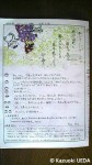 『ペンギンカフェ』最新号=No.15(2012年３月24日)