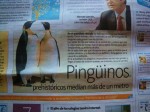 ペンギンの化石に関する新聞記事