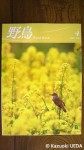 「日本野鳥の会」機関誌『野鳥：2012年４月号』
