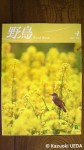 「日本野鳥の会」機関誌『野鳥：2012年４月号』