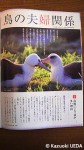 「日本野鳥の会」機関誌『野鳥：2012年４月号』