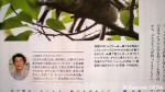 「日本野鳥の会」機関誌『野鳥：2012年４月号』