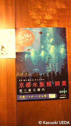 京都のイラストレーター=永留様から「京都水族館」のパンフレットを