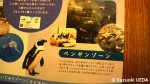 「京都水族館」のパンフレット