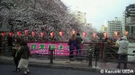 中目黒桜祭り