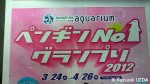 サンシャイン水族館・ペンギン No.1 グランプリ