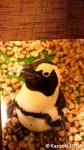 園館オリジナルペンギンポストカード