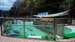 「すみだ水族館」移動前の施設