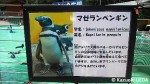 「すみだ水族館」移動前の施設