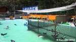 「すみだ水族館」移動前の施設