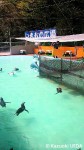 「すみだ水族館」移動前の施設