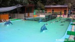 「すみだ水族館」移動前の施設