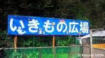 「すみだ水族館」移動前の施設