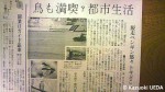 ５月17日(木)の読売新聞朝刊の紙面