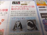 ケープペンギン