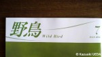 「日本野鳥の会」会誌『野鳥』