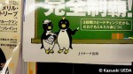 雑誌表紙のペンギン
