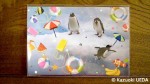 今年の「暑中見舞ペンギンカード」第２弾です(^○^)!!