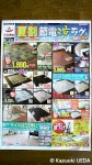 「カーテンじゅうたん王国」の新聞折り込みチラシ