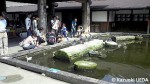 神戸花鳥園