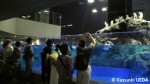 すみだ水族館