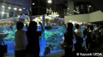 すみだ水族館