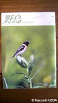 『野鳥』(2012年７月号・日本野鳥の会会報)