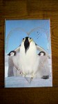 夏ペンギンポストカード
