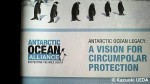 「ANTARCTIC OCEAN ALLIANCE」発行の資料