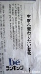 「生まれ変わりたい動物」(朝日新聞記事)