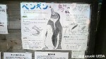 マリンピア日本海=新潟市水族館の「ペンギン掲示板」