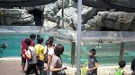 マリンピア日本海=新潟市水族館の「ペンギン掲示板」