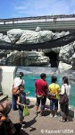 マリンピア日本海=新潟市水族館の「ペンギン掲示板」