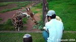 千葉市動物公園の教育普及活動