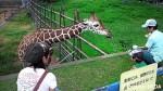 千葉市動物公園の教育普及活動