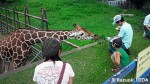 千葉市動物公園の教育普及活動